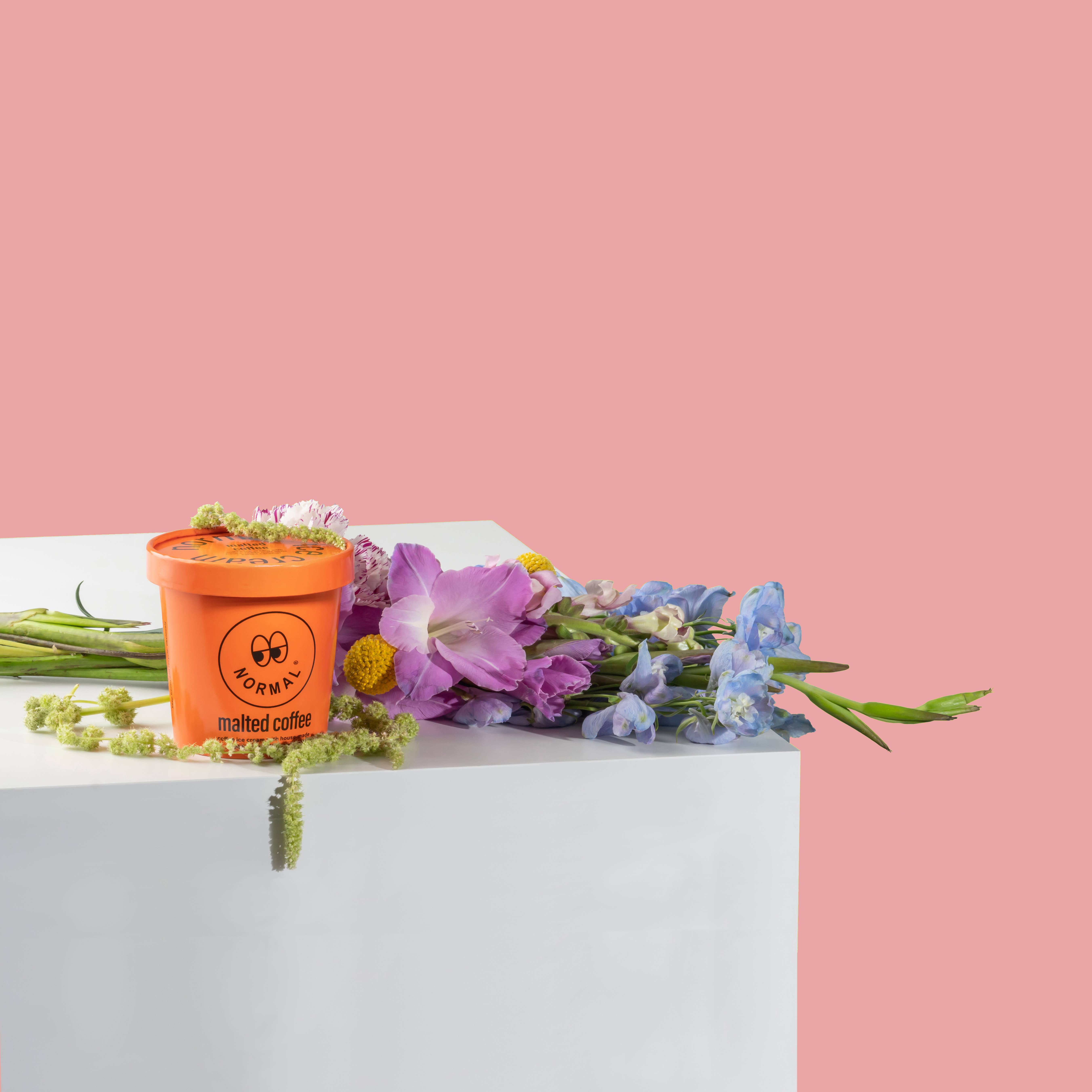 normal® ice cream - Wholesale Ice Cream/Sorbet - malted coffee composed ice cream2