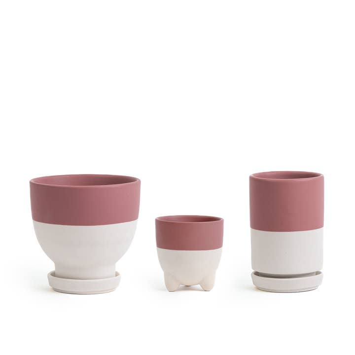 Momma Pots - Wholesale Plant Pot - Plant Junkie Pack - 16 pc/cspk12