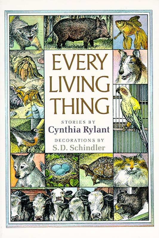 Simon & Schuster - Wholesale Middle Grade Book (9-12) - Every Living Thing by Cynthia Rylant0