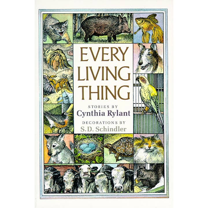 Simon & Schuster - Wholesale Middle Grade Book (9-12) - Every Living Thing by Cynthia Rylant