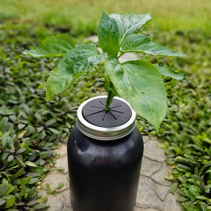 Verdant Hydroponics - Wholesale Plant Seeds - Hydroponic Pepper Growing Kit1