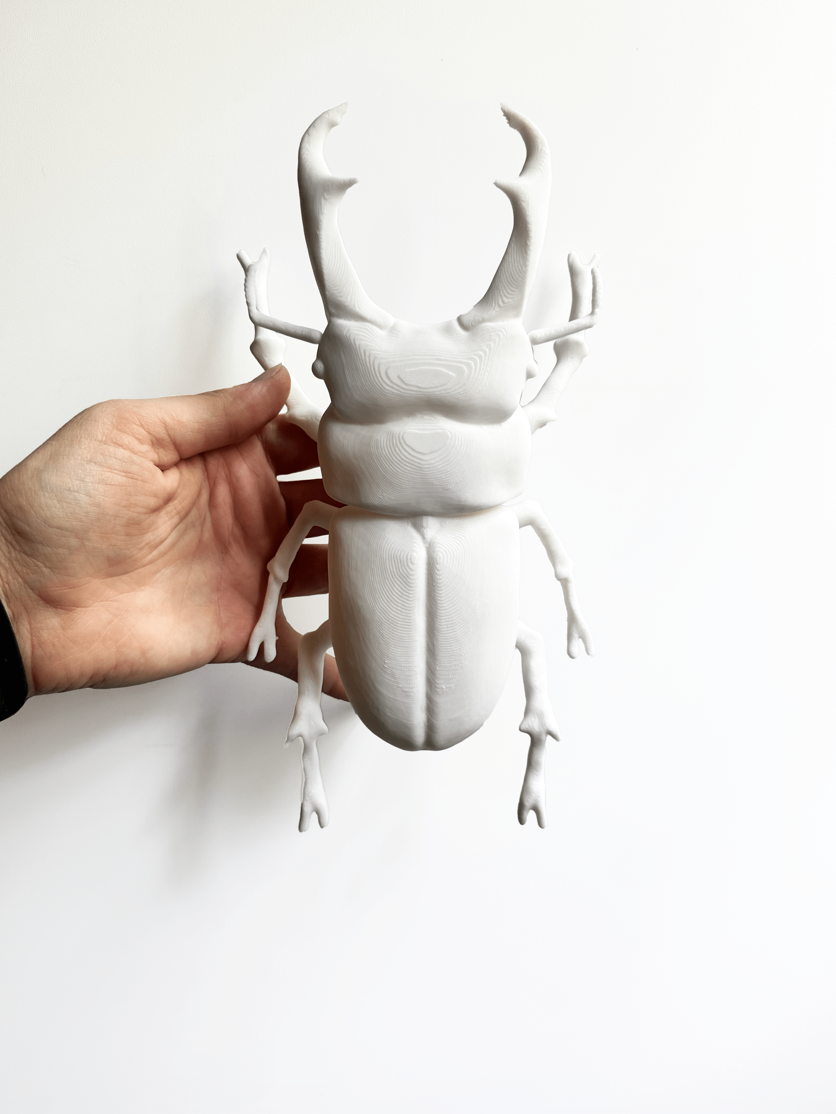 Faux Theory Design - Venta al por mayor Decoración de pared - Niños y bebés - Escarabajos Gigantes Impresos en 3D: Escarabajo Hércules y Escarabajo Ciervo3