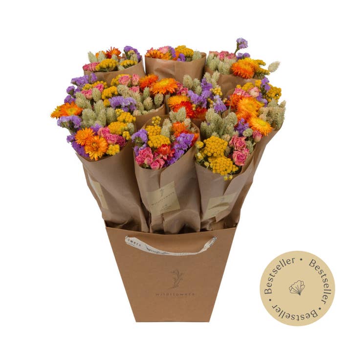 Wildflowers by Floriette - Wholesale Dried/Pressed Flowers - Dried Flowers - Market More - Multi0