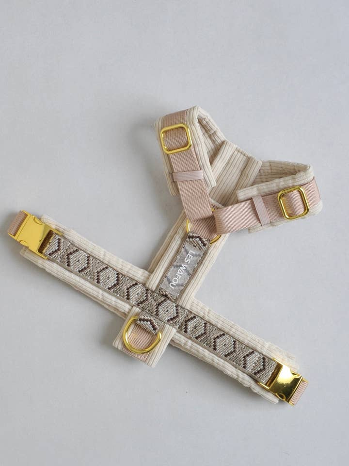 Hundsele - Beige i manchestertyg för wholesale av Les Wafou