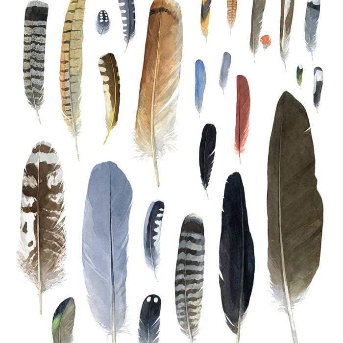 Studio Tuesday - Wholesale Art Print - Feather Watercolor Print1