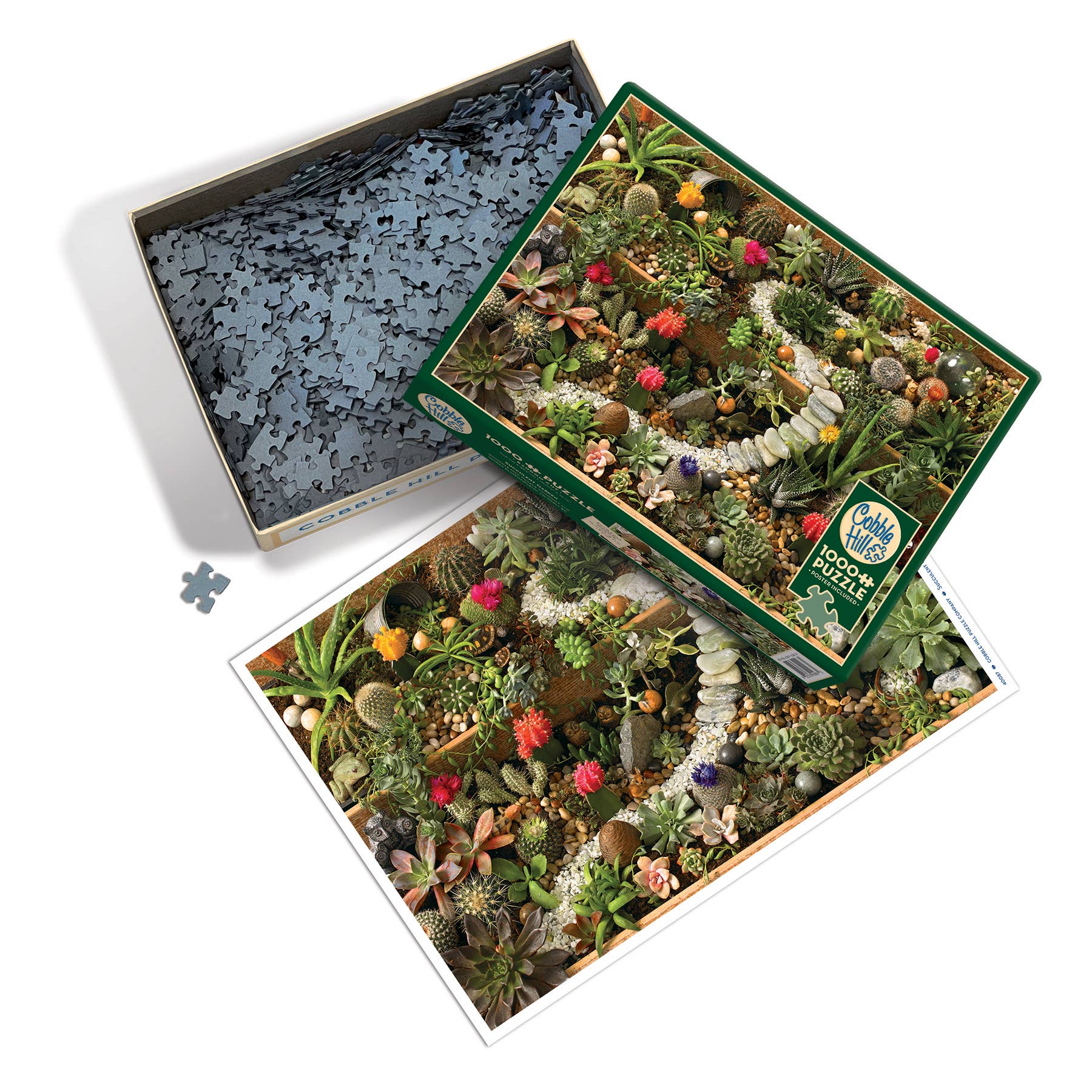 Outset Games and Cobble Hill Puzzles - Wholesale Puzzle - Adult - Succulent Garden 1000pc puzzle2