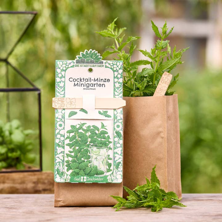 TDJ Stadtgärtner GmbH - Wholesale Plant Seeds - Minigarten - Mint cocktail