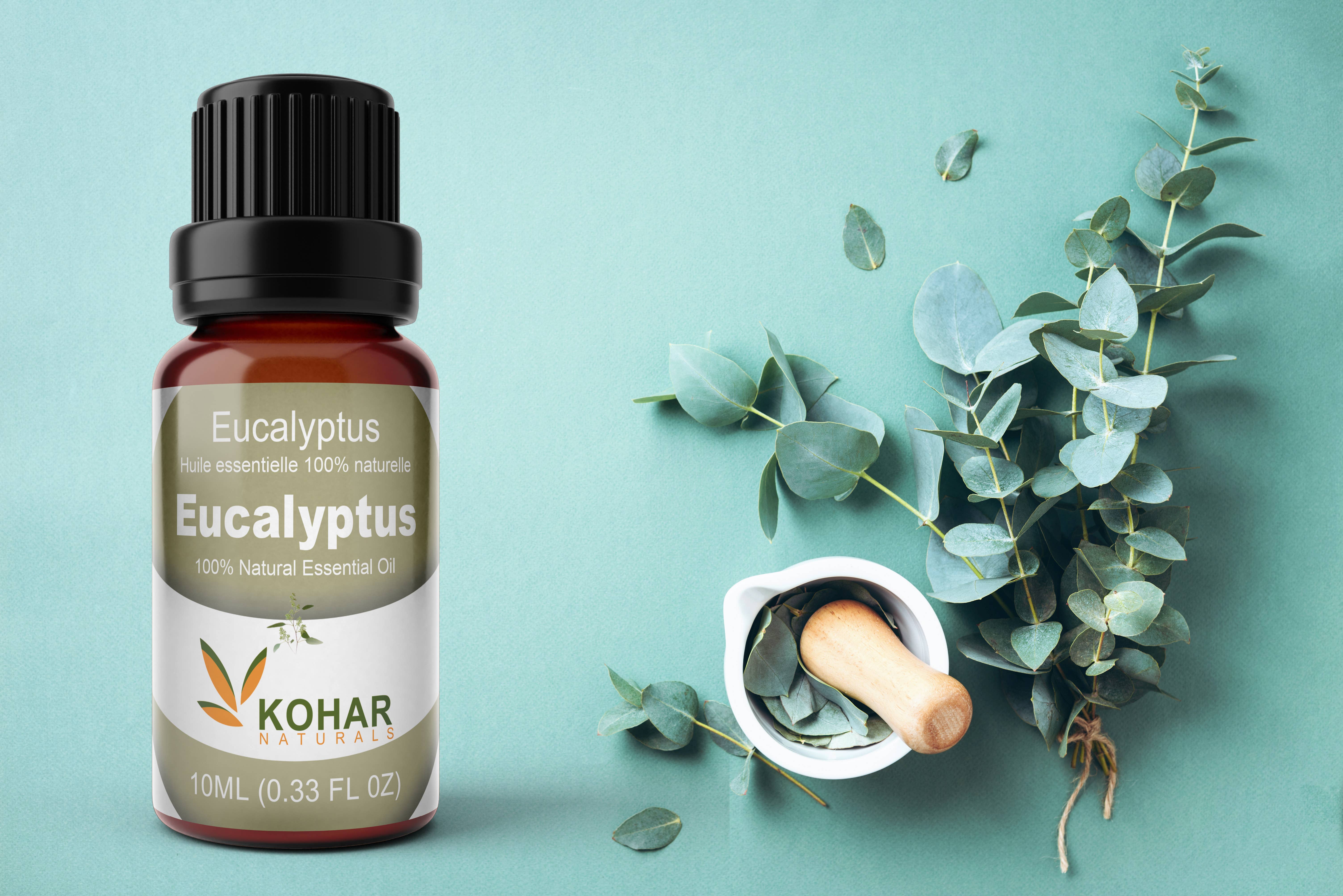 KOHAR NATURALS – Großhandel Ätherisches Öl – 100% natürliches Eukalyptus ätherisches Öl 10 ml2