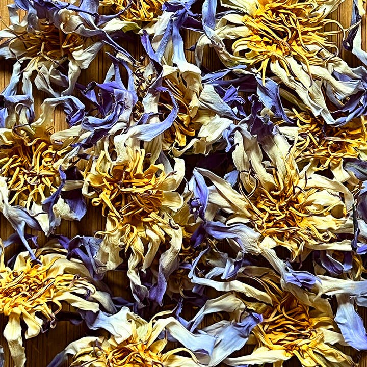 METAMORFLOTUS – wholesale Löst te – Egyptisk äkta blå lotusblomma te
