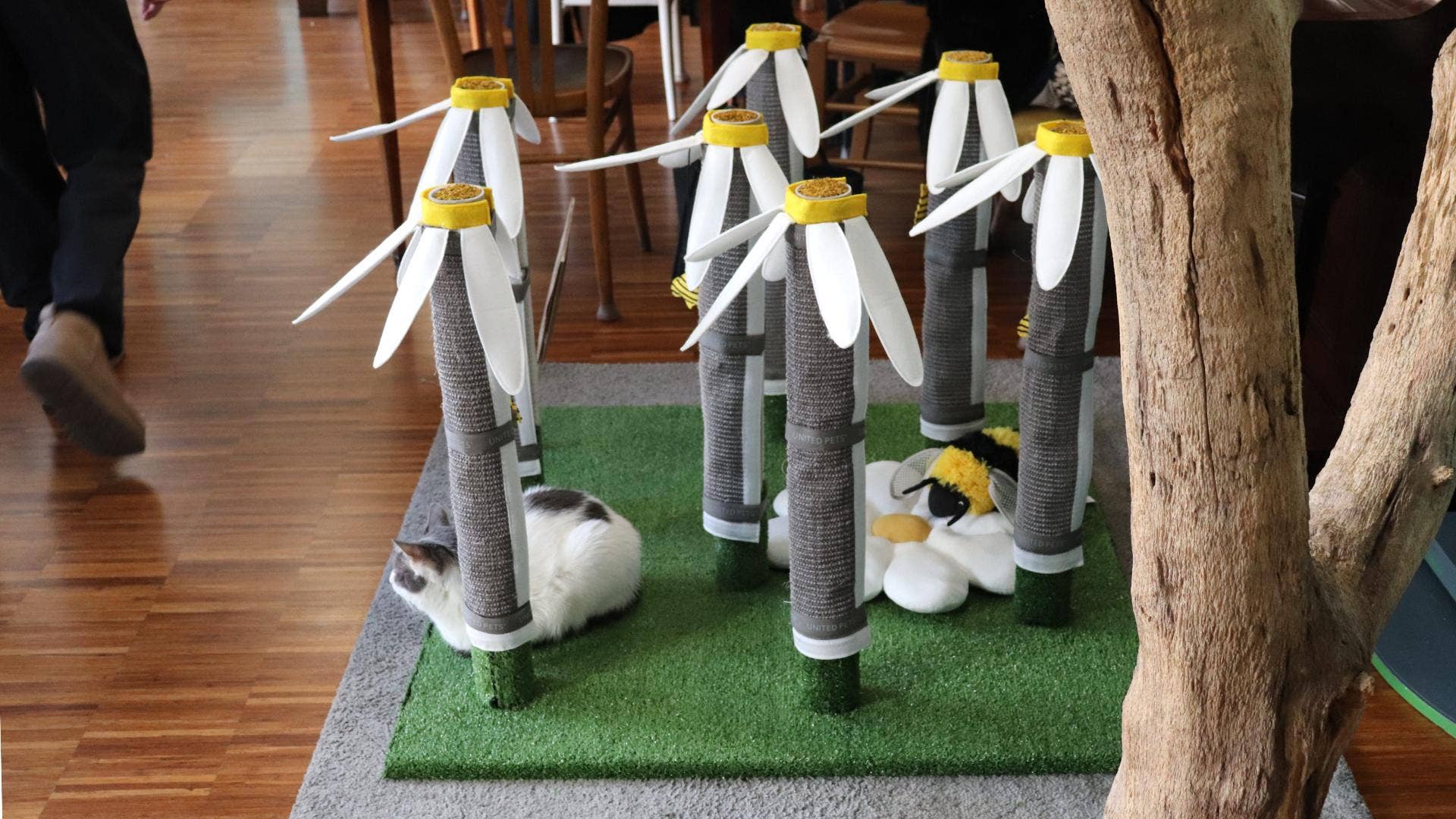 United Pets - Wholesale Pet Scratcher - Cat - Daisy-shaped table leg scratcher for cats7