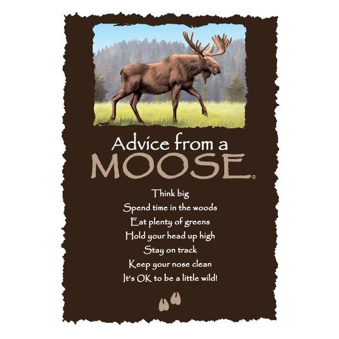 Advice for Life by Your True Nature - Wholesale Everyday Greeting Card - Advice from a Moose Greeting Card - Blank
