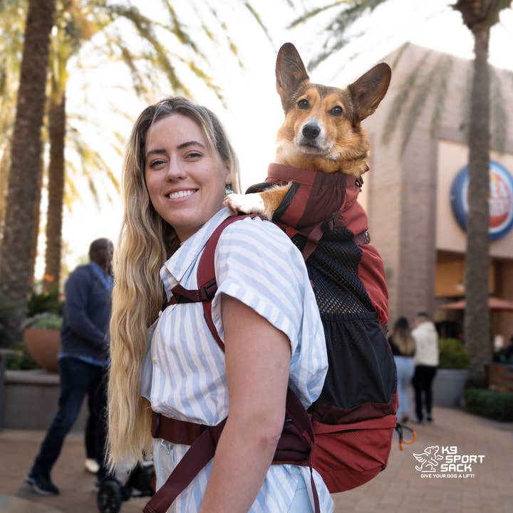 K9 Sport Sack - Venta al por mayor Transportín - Perros - Knavigate | Transportín avanzado para perros con estructura interna y cinturón lumbar9