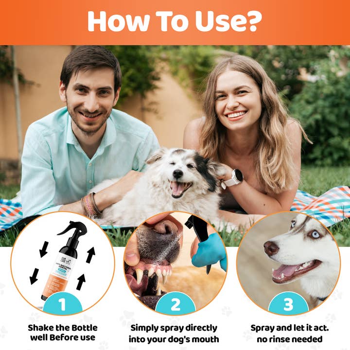 OurPetsLife - Wholesale Pet Spray - Dog - Dog Dental Spray