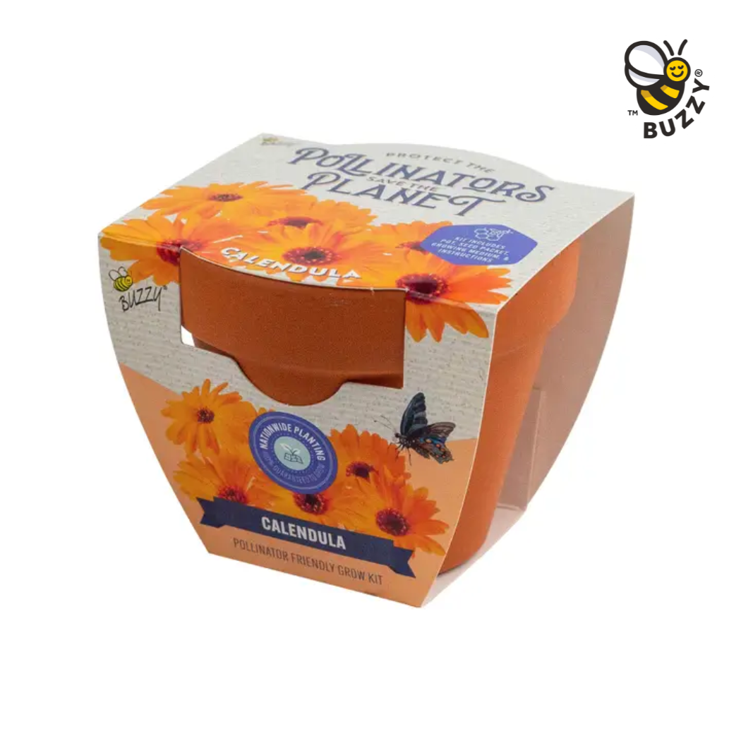 Buzzy Seeds Grow Gifts - Wholesale Plant Seeds - Pollinator Classic Terracotta Calendula Grow Kit – Gift Set0