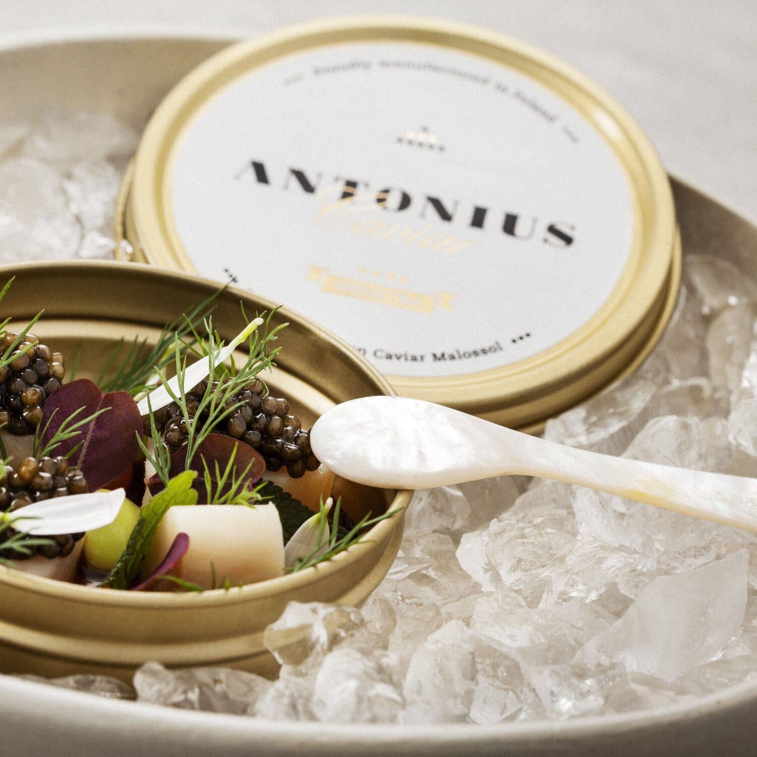 Antonius Caviar - Wholesale Kitchen Spoon - Antonius Caviar: "Antonius Caviar" Mother-of-pearl Spoon1