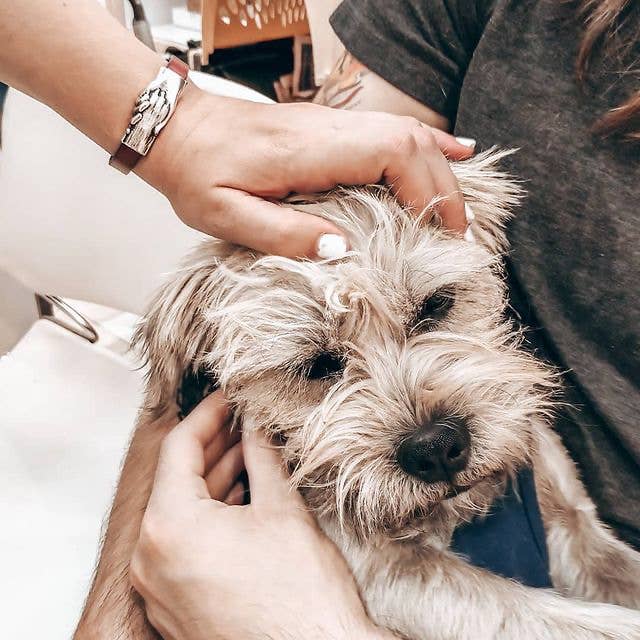 Hand and Paw Project – Großhandel Armreif – Hundepfoten-Leder-Armband - Hand & Pfoten-Projekt™ Schmuck