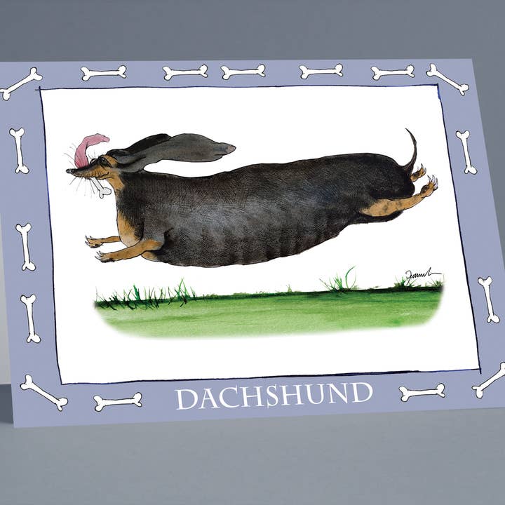 Dachshund greeting cards (pack of 6) for wholesale by Tony Fernandes Design