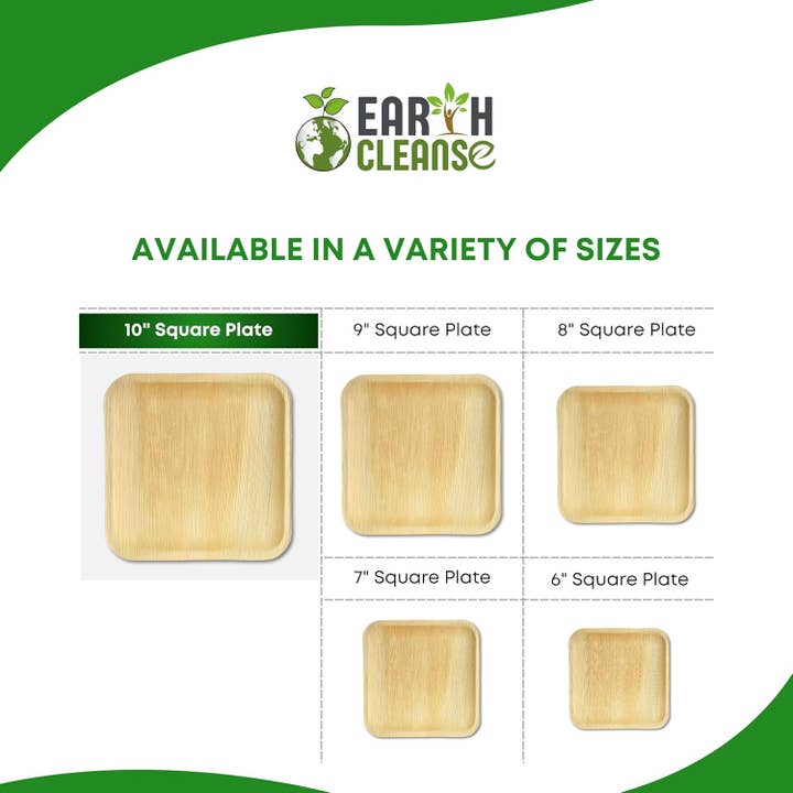 Earth Cleanse - Wholesale Disposable Plate - Areca Palm Leaf Square Plates 10-Inch, Pack of 2003