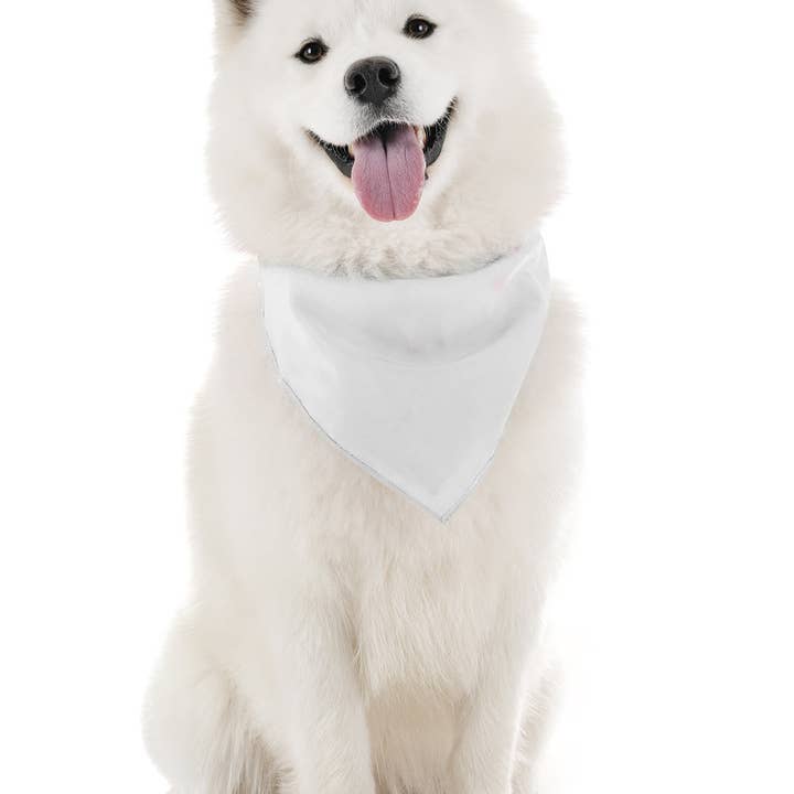 Bandanas Wholesale - Wholesale Pet Bandana - Dog - Pack of 30 XL Oversized Polyester Dog Bandanas Solid Colors