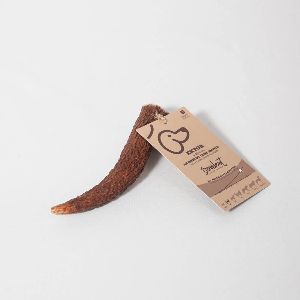 Evident - Wholesale Pet Bone/Rawhide - Dog - EKTOR - Whole deer antler to chew on for dogs0