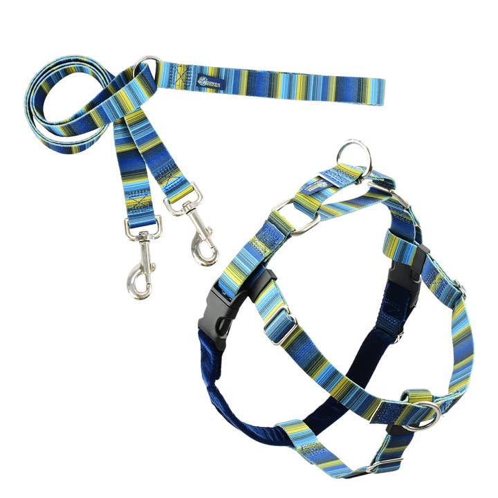 EarthStyle Clyde Freedom No-Pull Harness with Leash for wholesale by 2 Hounds Design