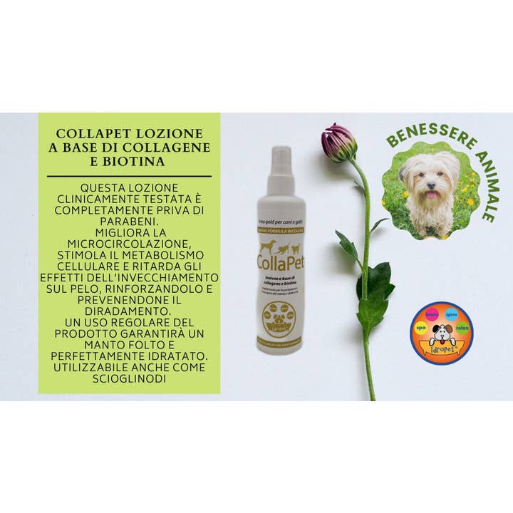 Idropet - Wholesale Pet Grooming Set - Dog - Spa & Beauty kit dedicated to the Maltese dog7