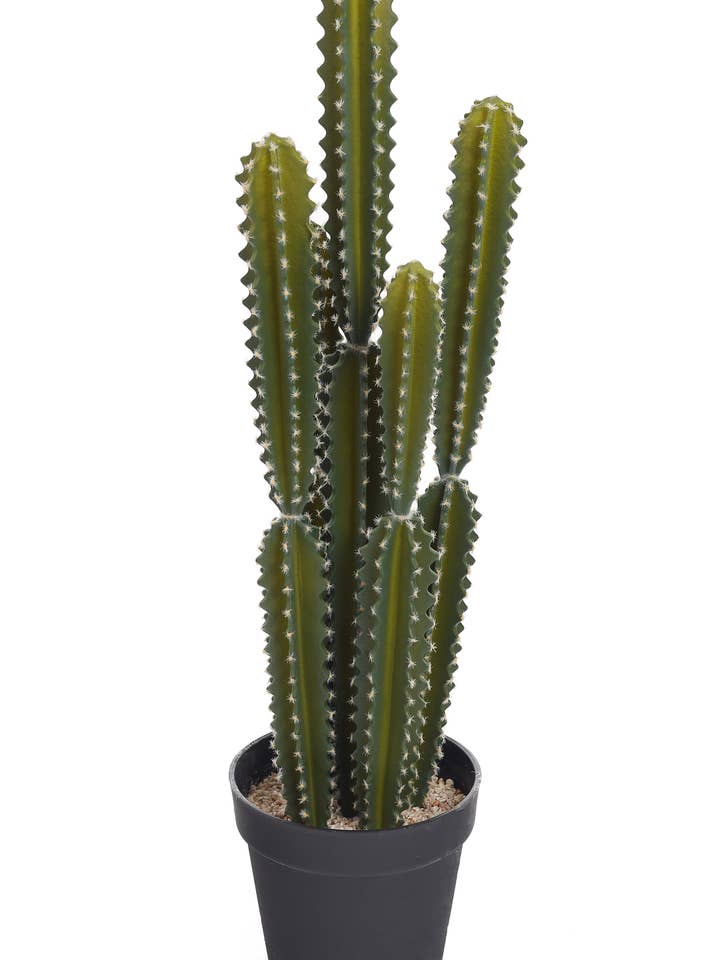 CACTUS CON MACETA 82,5 CM para venta al por mayor de Studio Specialties