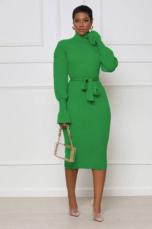 Green WOMEN FASHION LONG MAXI SWEATER DRESS for wholesale on Faire3