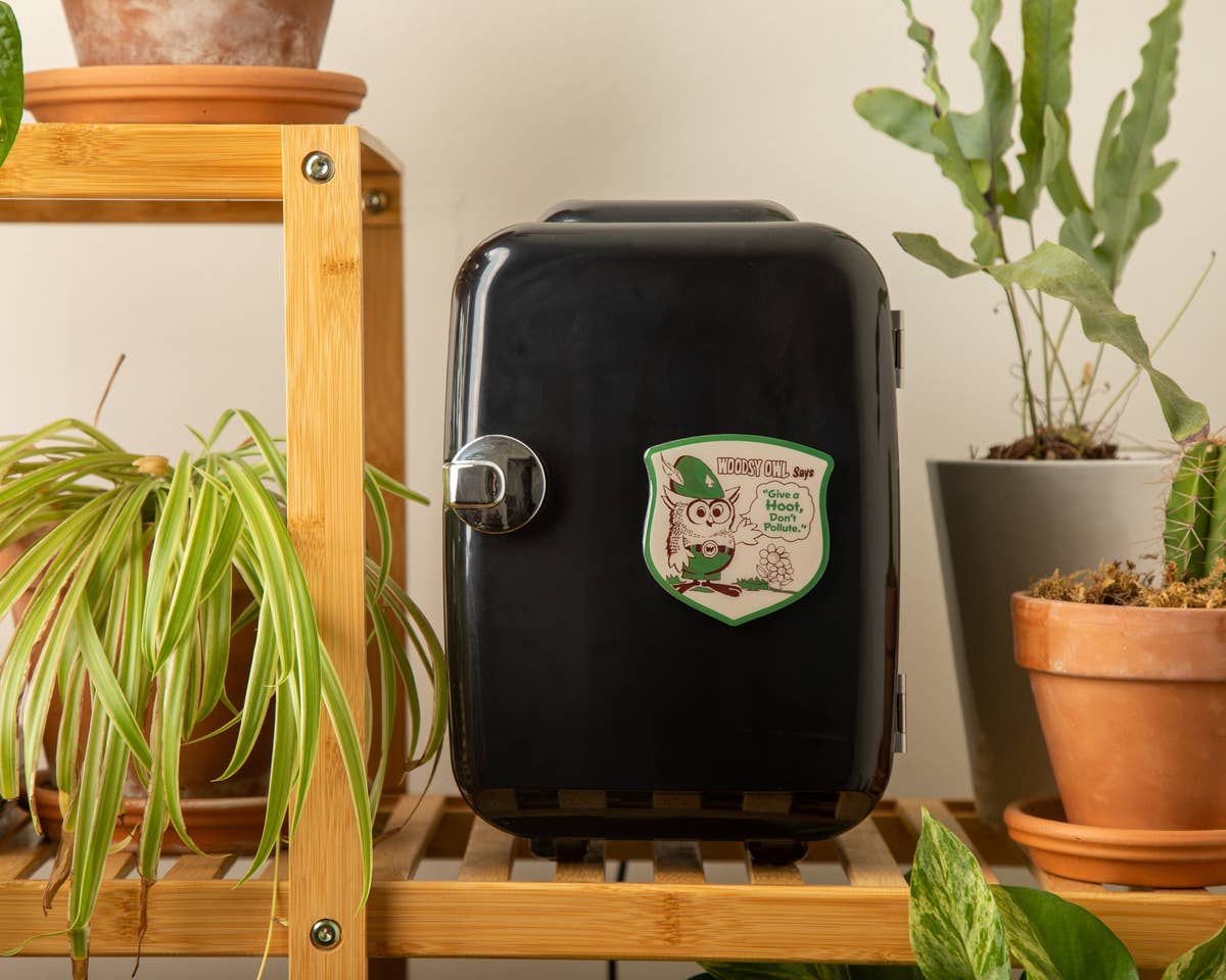 The Landmark Project - Wholesale Magnet - Woodsy Says Magnet1