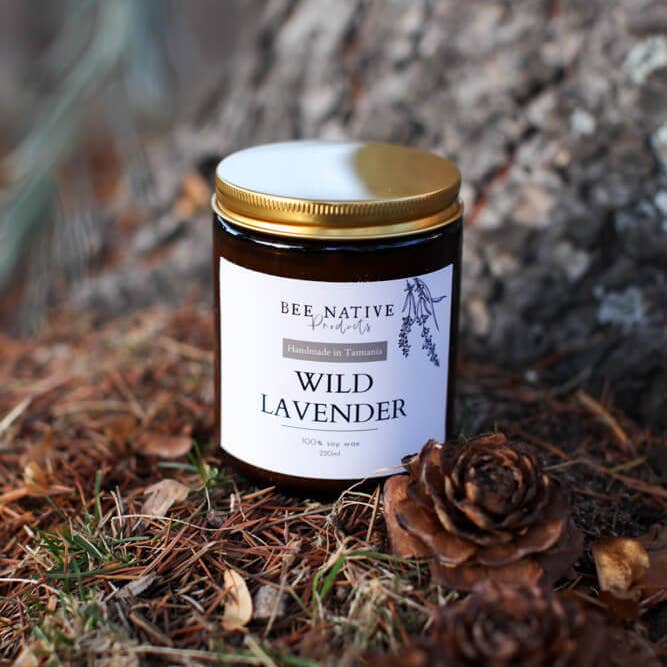Bee native products - Wholesale Jar/filled candle - Wild Lavender Soy Candle1
