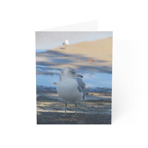 Gem Garden Arts - Wholesale Everyday Greeting Card - Seagull Note Card