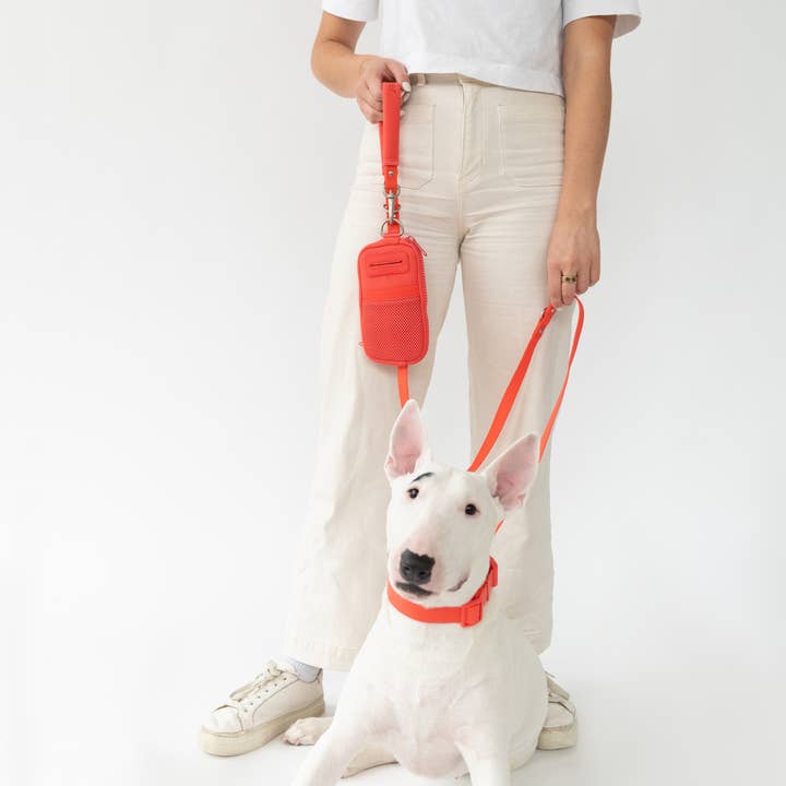 Springland Pets - Wholesale Pet leash – Dog - Dog Walk Bag with Leash - Dog Walk Solution (Mixed 4 Pack)13