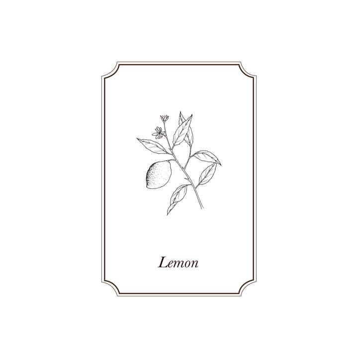 Napiers - Wholesale Essential Oil - Napiers Lemon Essential Oil