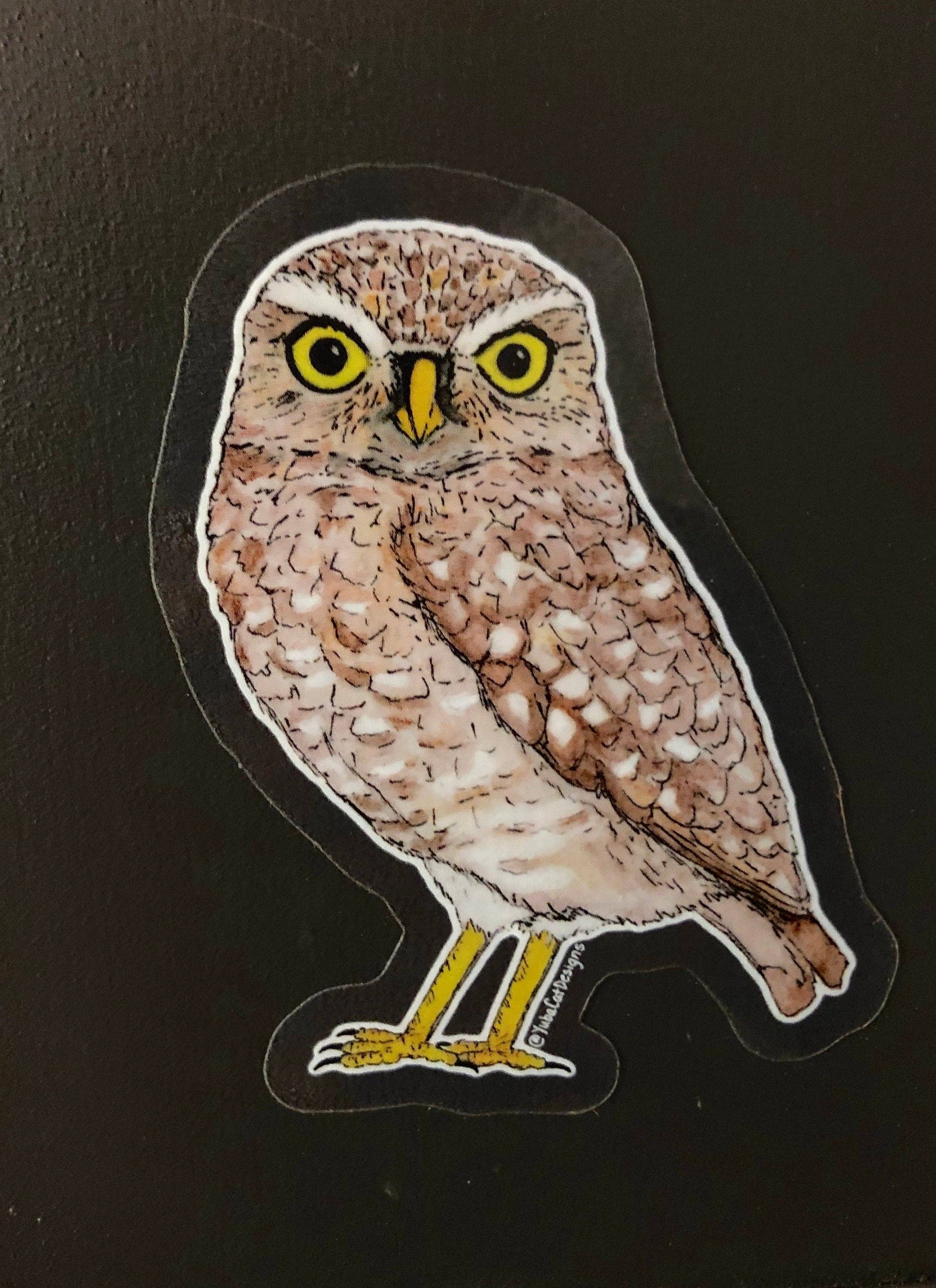 YubaCat Designs - Wholesale Sticker - Burrowing owl sticker2