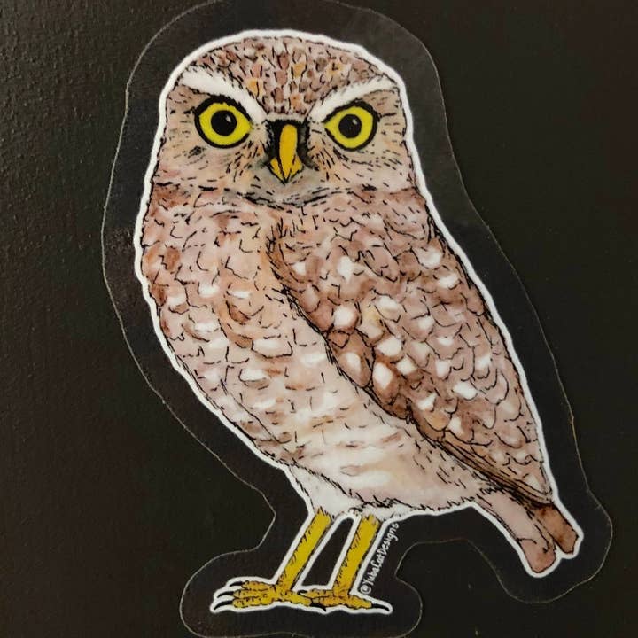 YubaCat Designs - Wholesale Sticker - Burrowing owl sticker2