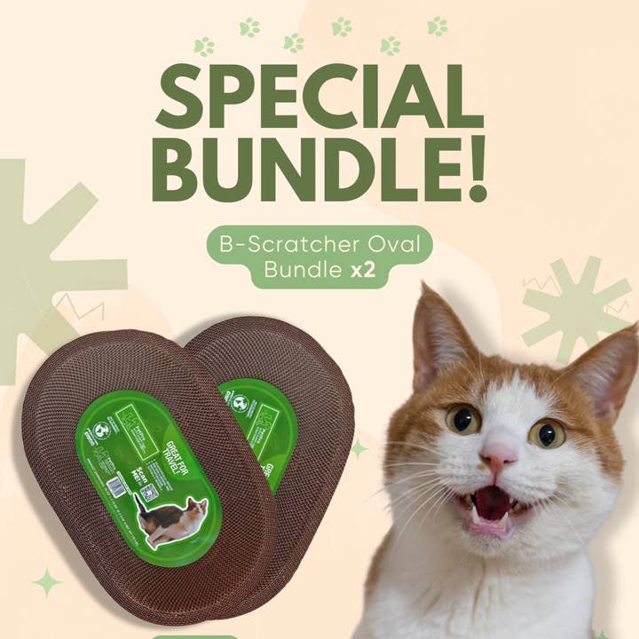 Set da 2 Pad Ovali per Gatti da Graffiare per la vendita all'ingrosso da parte di Designer Pet Products, LLC