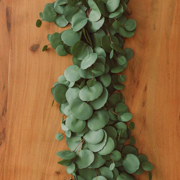 Eucalypt Co. - Wholesale Bunting/Garland - Almost-Real Eucalyptus Garland (artificial)1