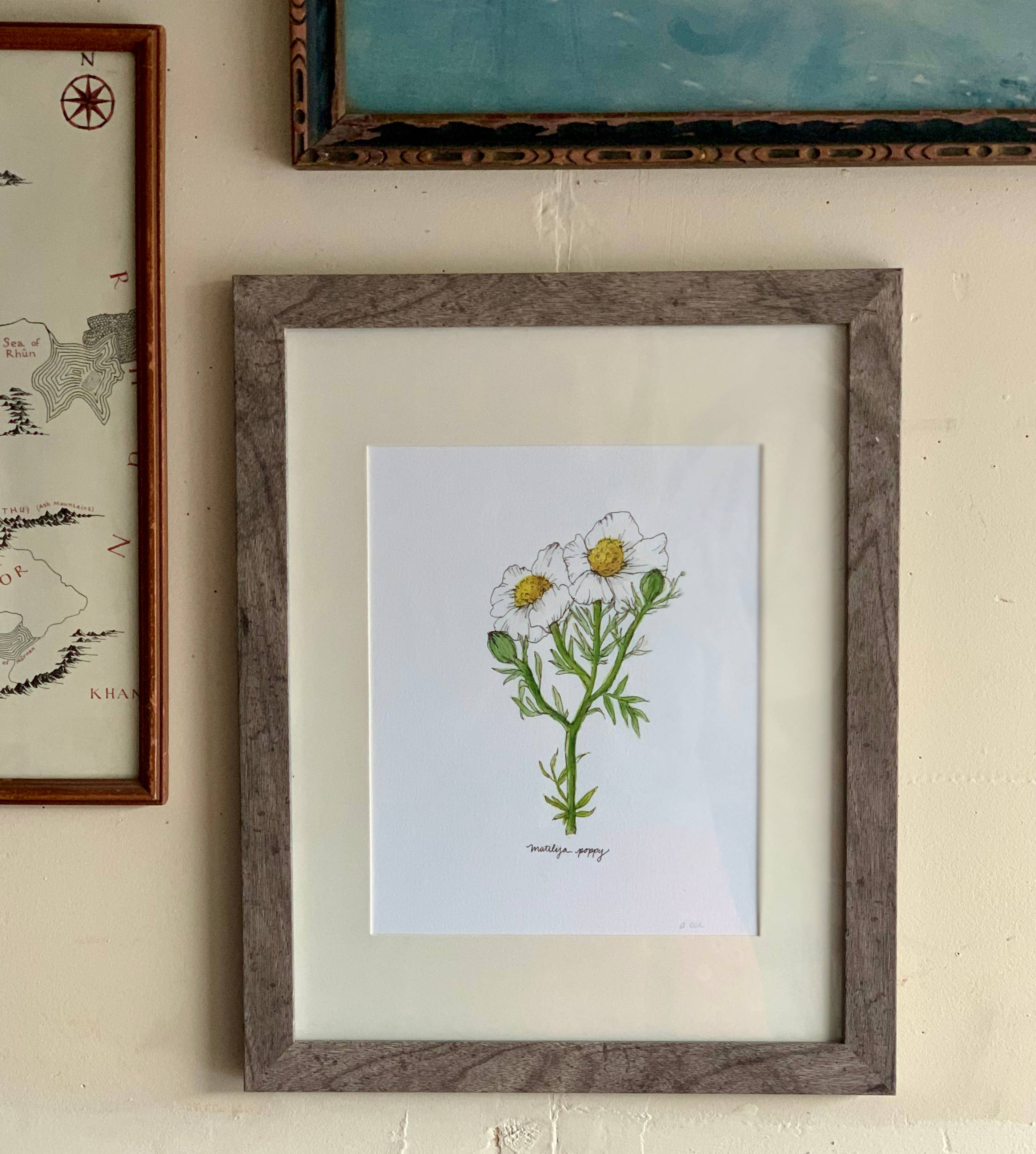 Little Salt Wagon - Wholesale Art Print - Matilija Poppy CA Wildflower Botanical Art Print Wall Decor3