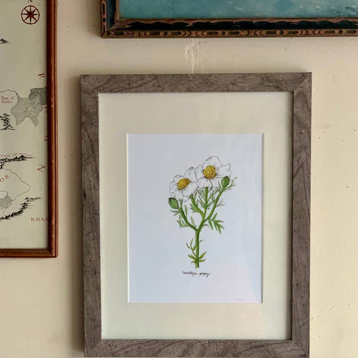 Little Salt Wagon - Wholesale Art Print - Matilija Poppy CA Wildflower Botanical Art Print Wall Decor3