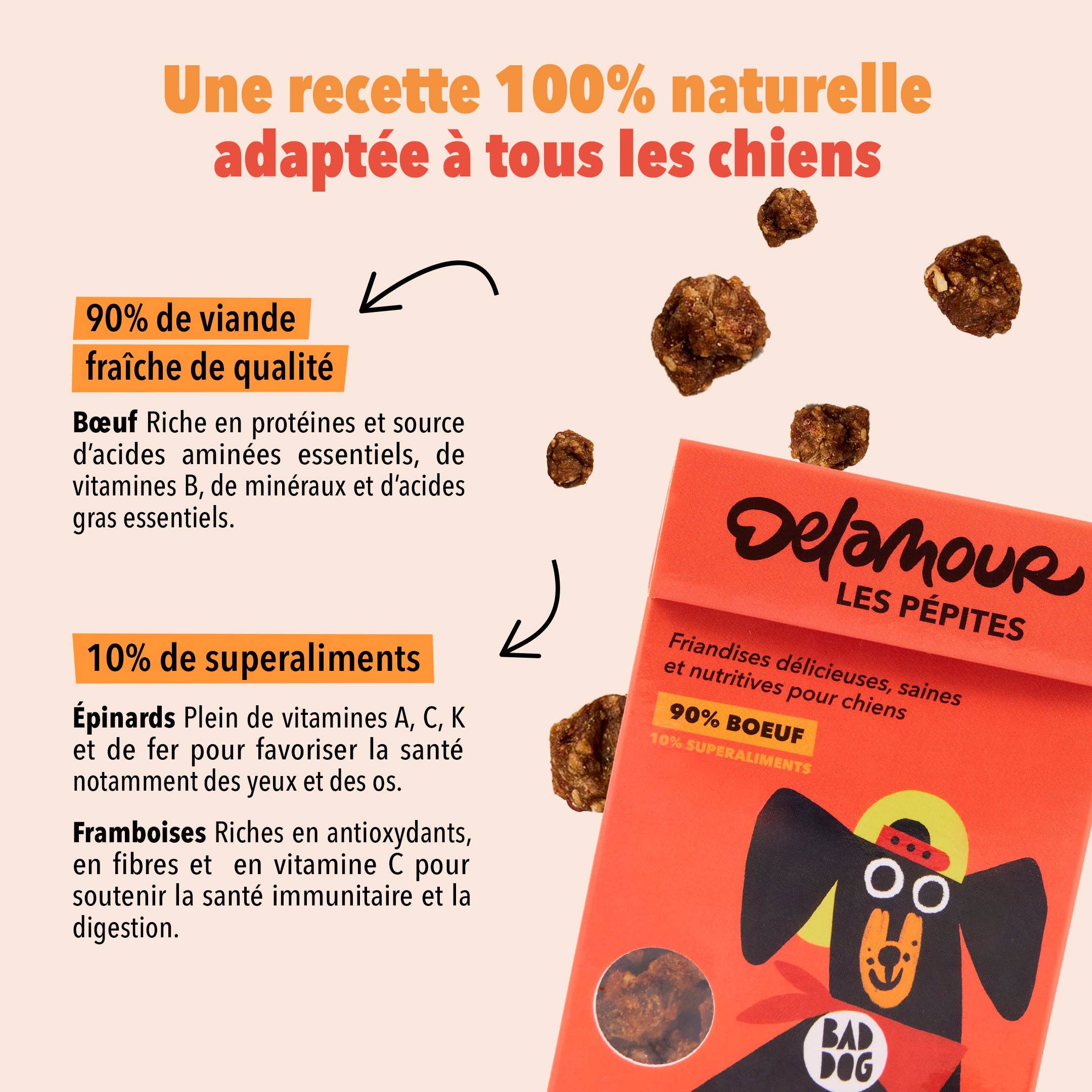Delamour – snacks e guloseimas - Cão por atacado – As Pepitas - Carne de Vaca (75g)2