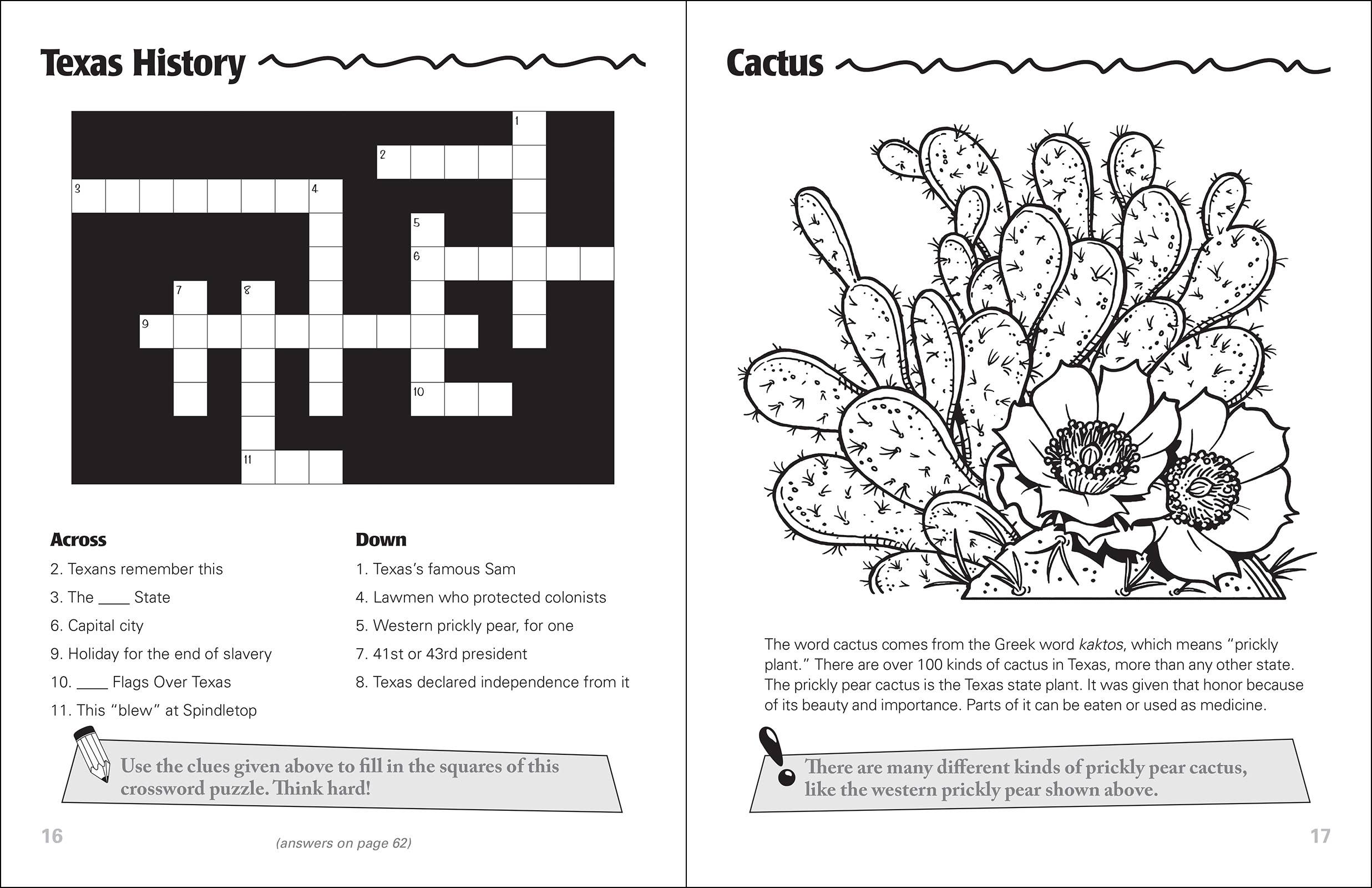 AdventureKEEN - Wholesale Coloring & Activity Book - Kids & Baby - Texas Activity Book2