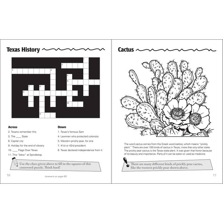 AdventureKEEN - Wholesale Coloring & Activity Book - Kids & Baby - Texas Activity Book2