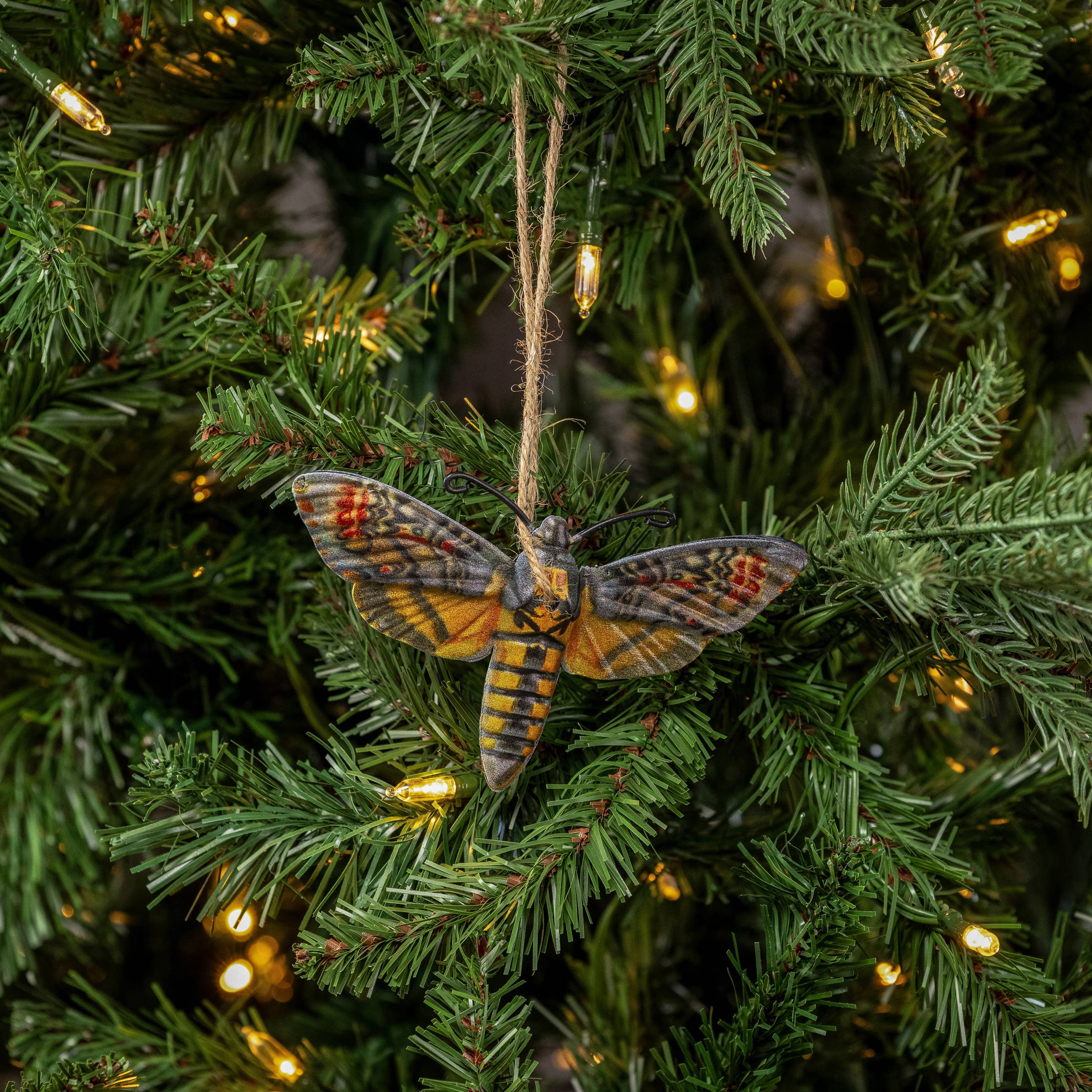 Ragon House - Wholesale Ornament - HAWK MOTH ORNAMENT1