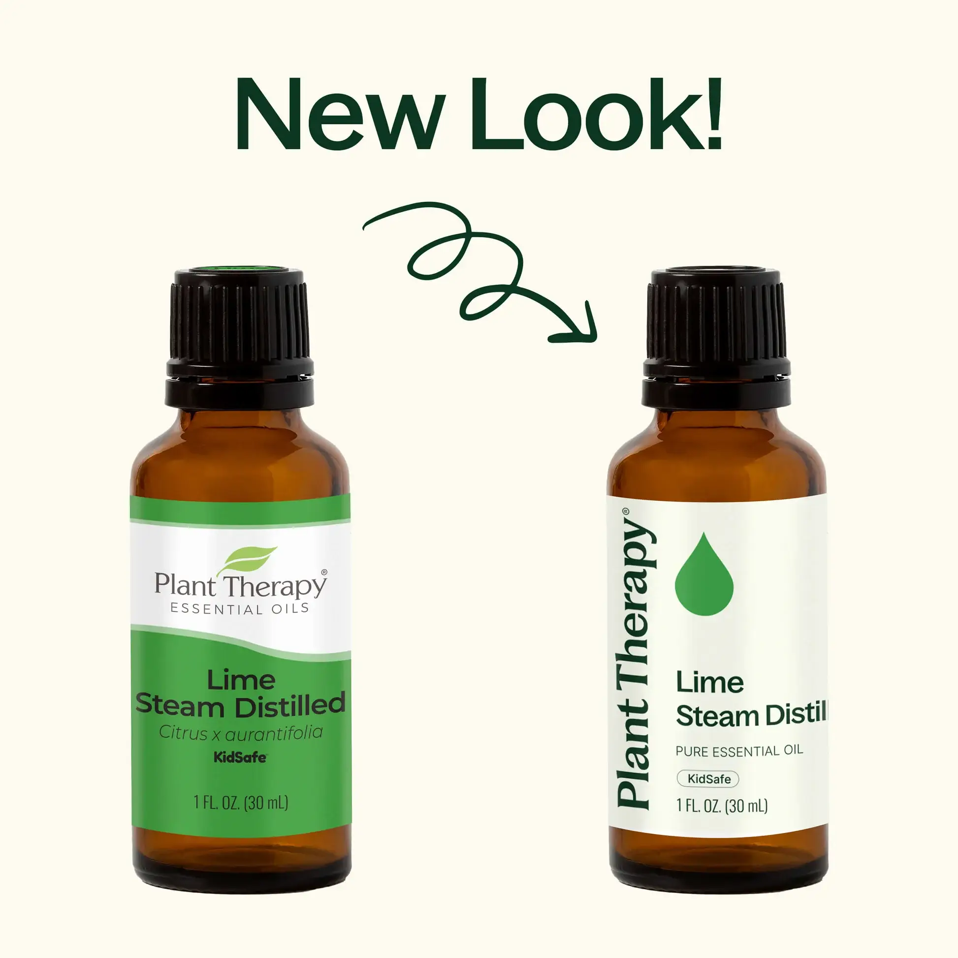 Plant Therapy - Wholesale Essential Oil - Lime Steam Distilled Essential Oil 30 mL1