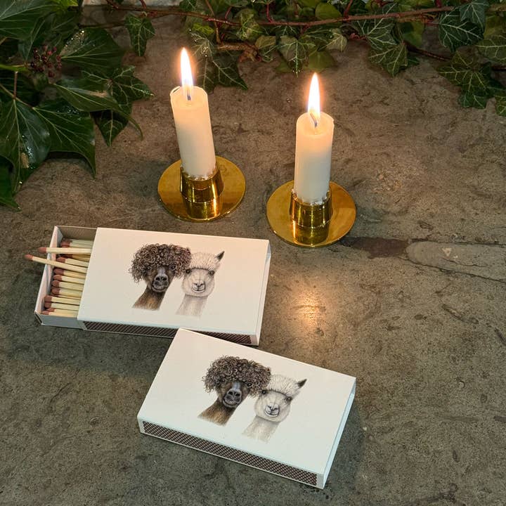 Anderssons tændstikæske med ekstra lange sikkerhedstændstikker for engroshandel hos Charlotte Nicolin