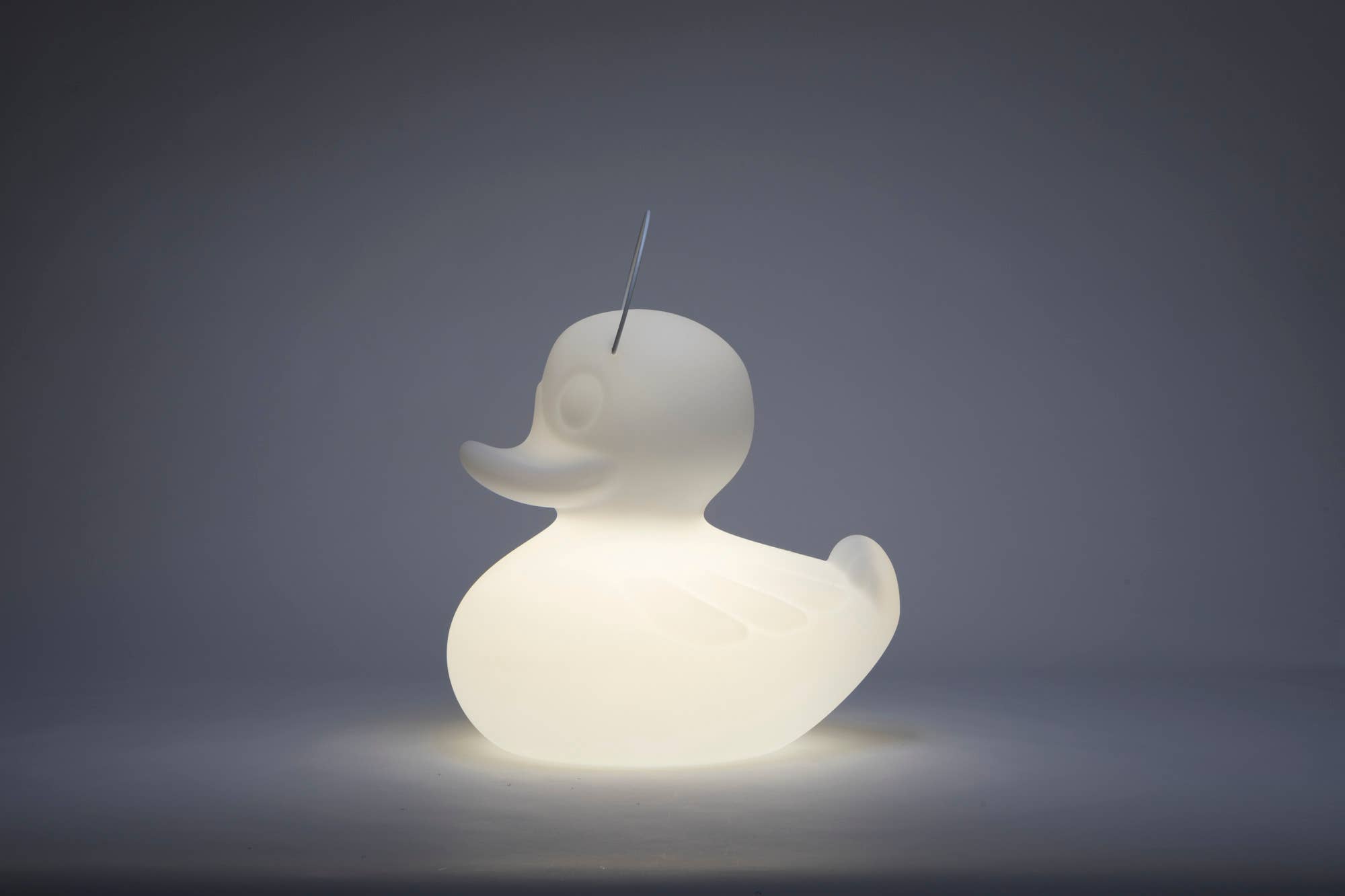 Goodnight Light - Wholesale Accent/Desk Lamp - The Duck Duck Lamp XL 51 cm - floating rechargeable lamp17