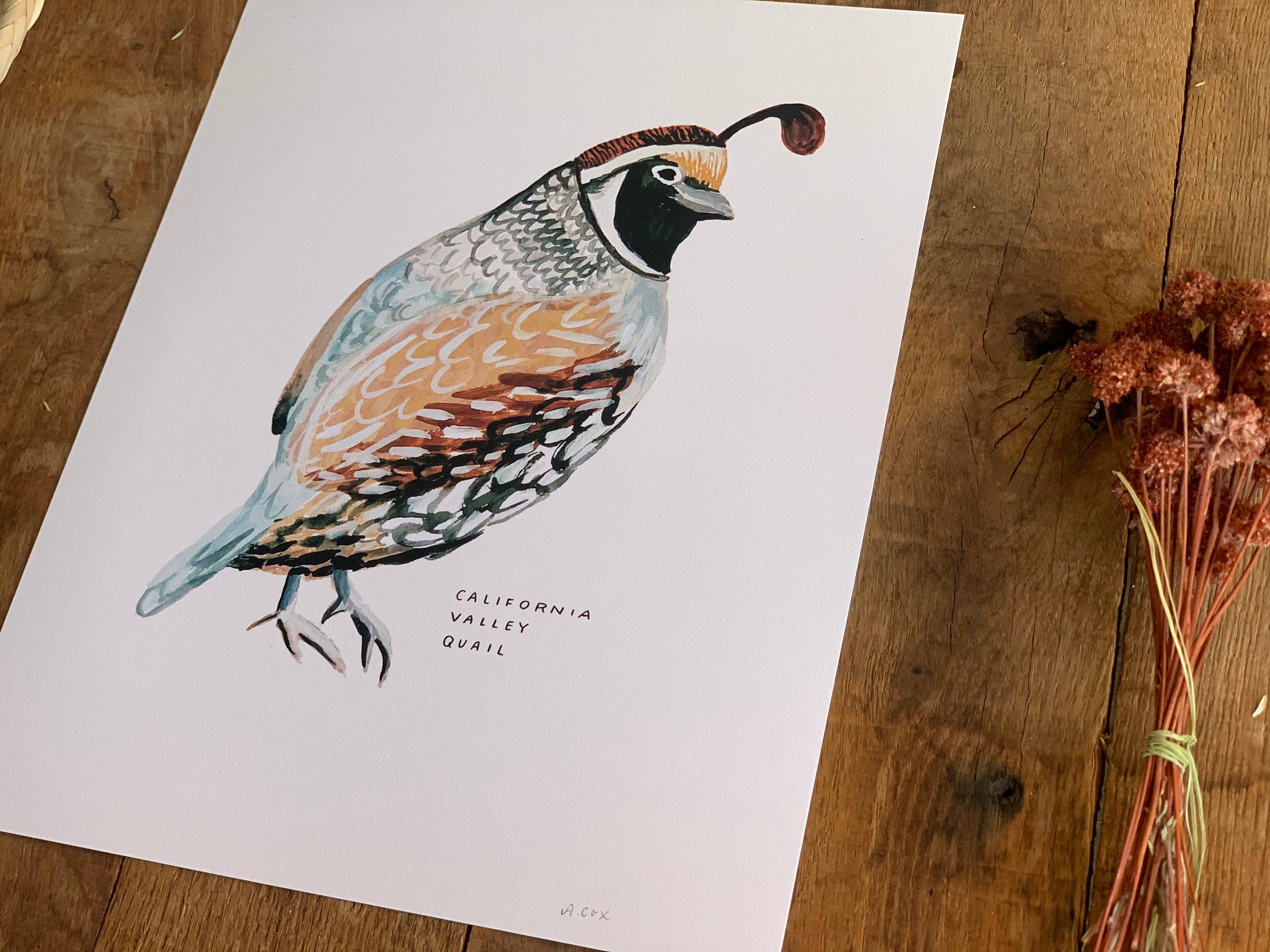 Little Salt Wagon - Wholesale Art Print - California Valley Quail Bird Art Print Home Wall Decor3