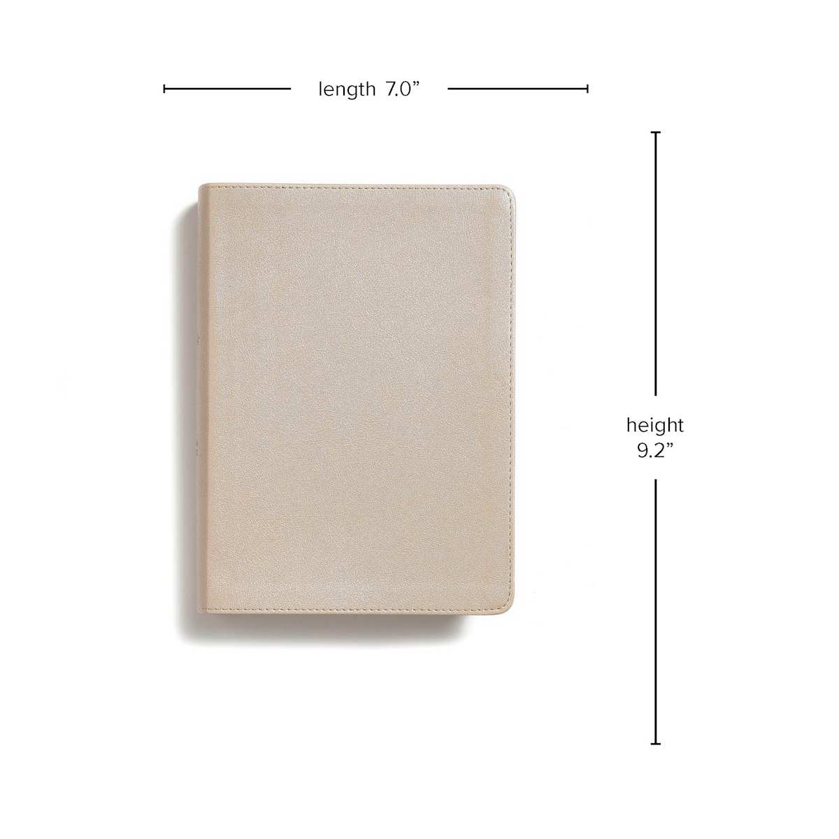 Lifeway - Wholesale Religion - CSB She Reads Truth Bible, Champagne Gold LeatherTouch7