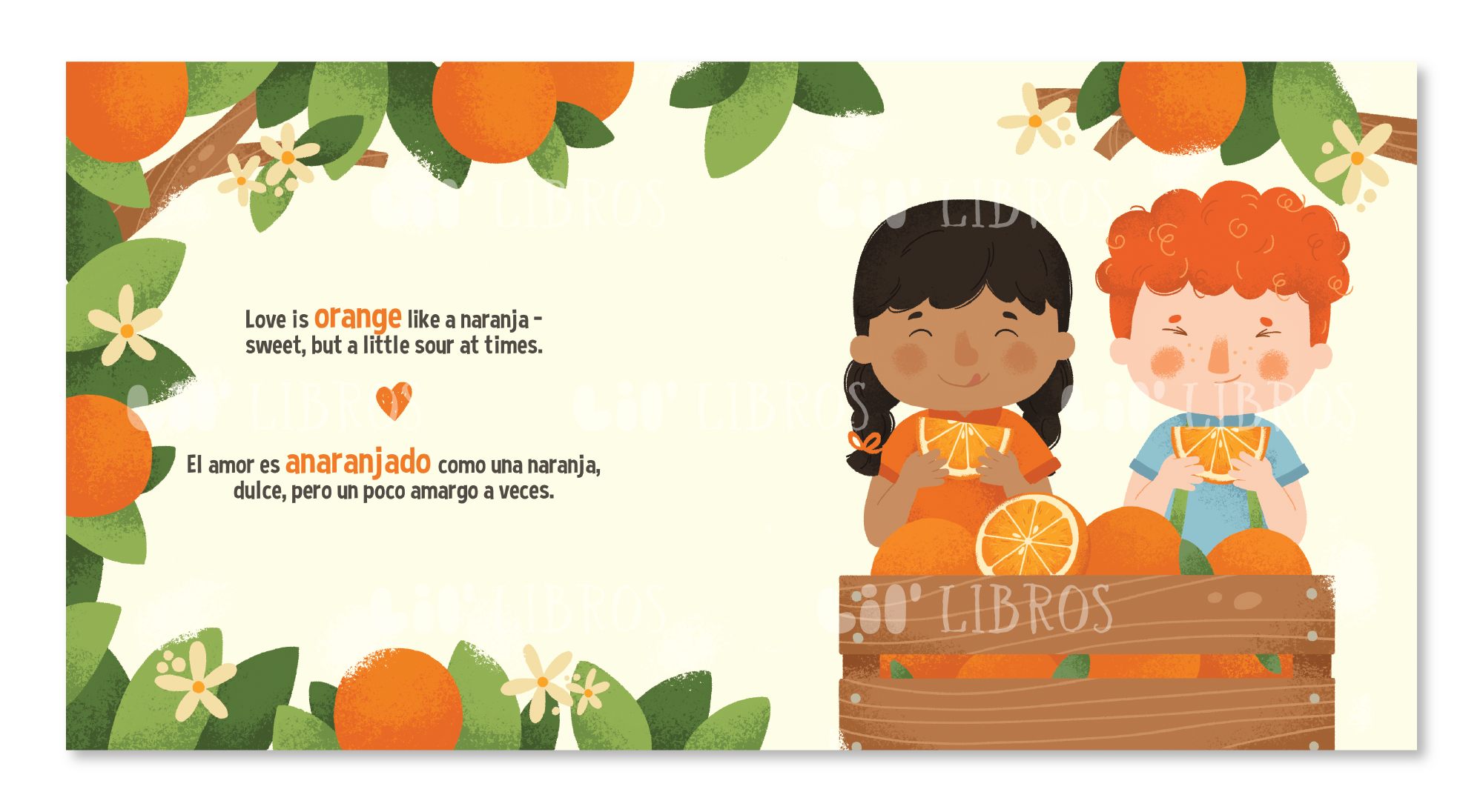 Lil' Libros ~ Bilingual Children's Books & Games - Wholesale Preschool Book (3-5) - Amor De Colores (Bilingual: English and Spanish)1