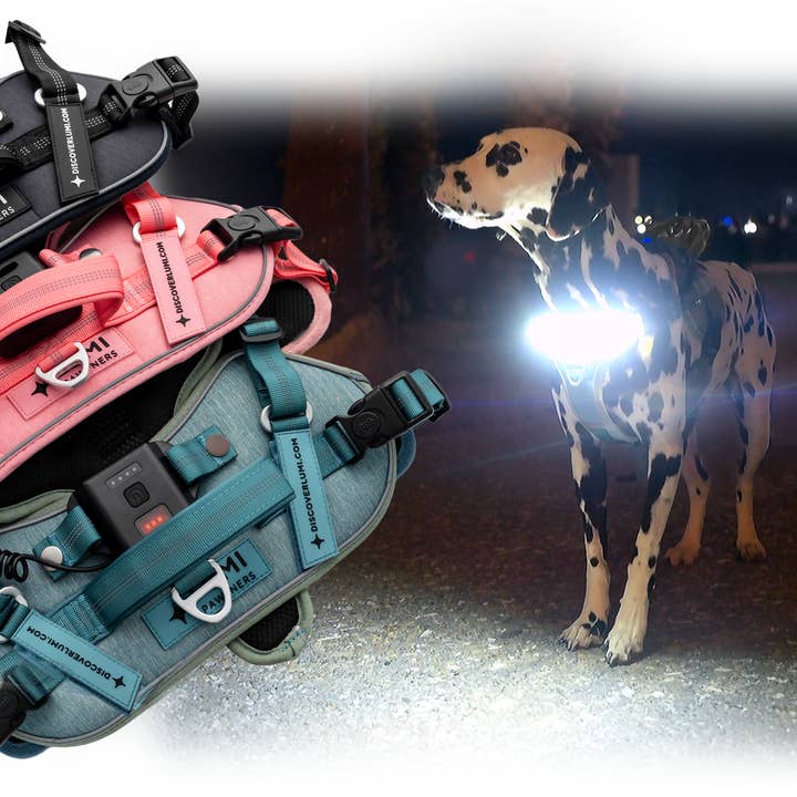Lumi Pawtners - Wholesale Pet Harness - Dog - Lumi One - Lighting Your Path at Night!7